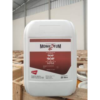Momentum