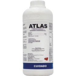 atlas