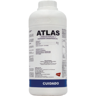 Atlas