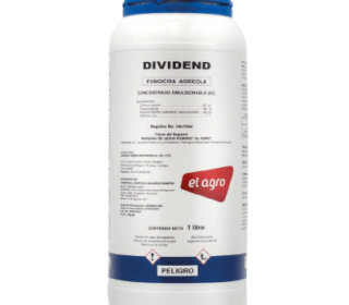 Dividend