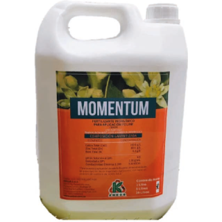 Momentum