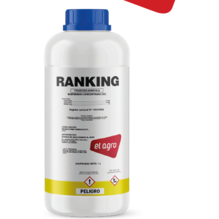 Ranking