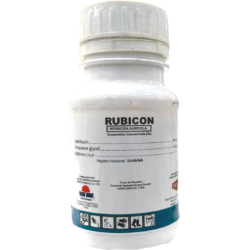 rubicon