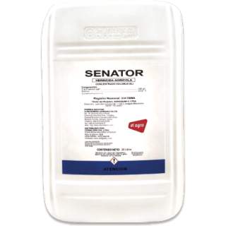 Senator
