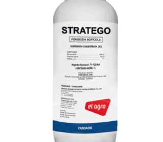 Stratego