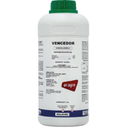 vencedor
