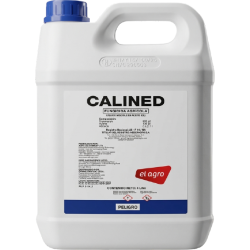 calined