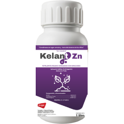 kelant zn