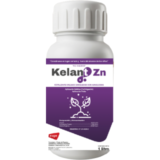 Kelant ZN