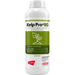 kelp pro