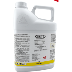 kieto