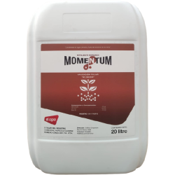 momentum