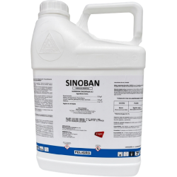 sinoban